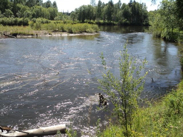 Участок 107 га (СНТ, ДНП)