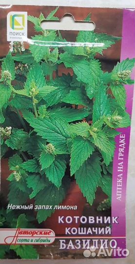 Мята/Котовник кошачий