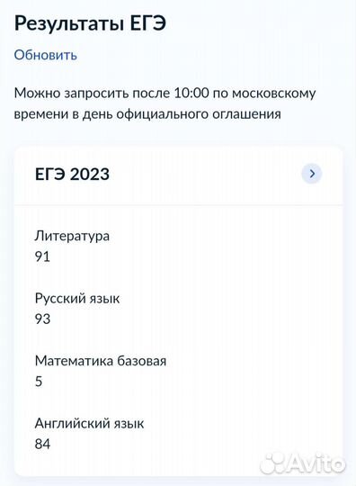 Напишу сочинение по литературе, русскому языку