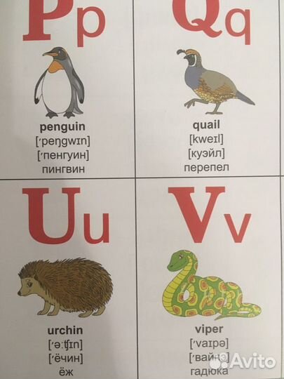 Английский для детей