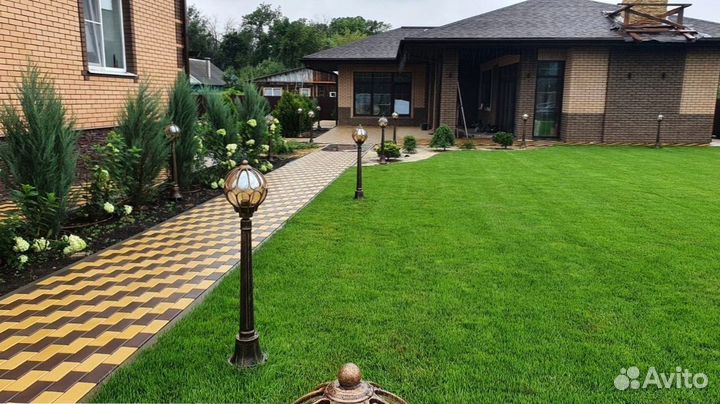 Красивый рулонный газон от профессионалов