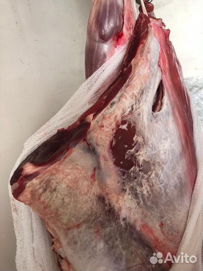 Говядина охлажденная быки в полутушах