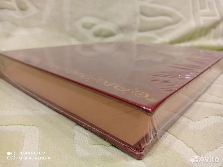 История одного города, Верже кожа