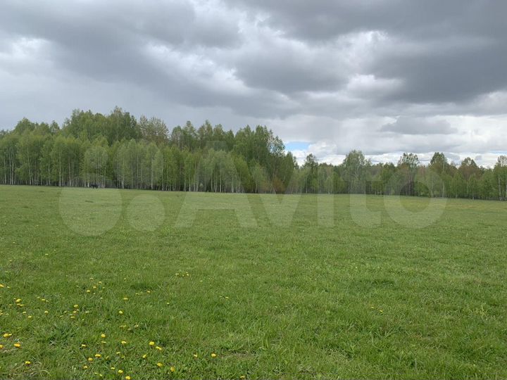 Участок 48,4 га (ИЖС)