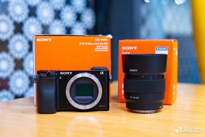 Sony A6000 + FE 50/1.8
