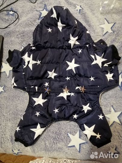 Одежда для маленьких собак зима