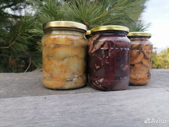 Грузди. Рыжики. Маслята. Опята. Белые. Грибы