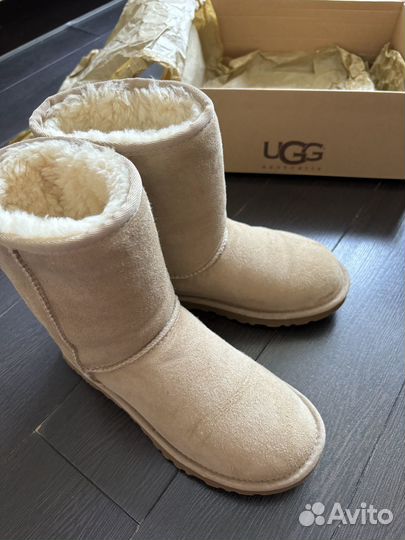 Ugg оригинал (угги женские)