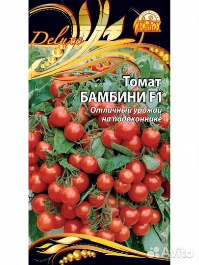 Рассада комнатных томатов, огурец «комнатный»