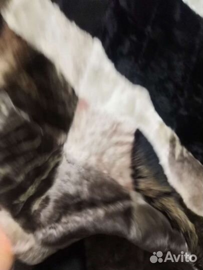 Плед покрывало