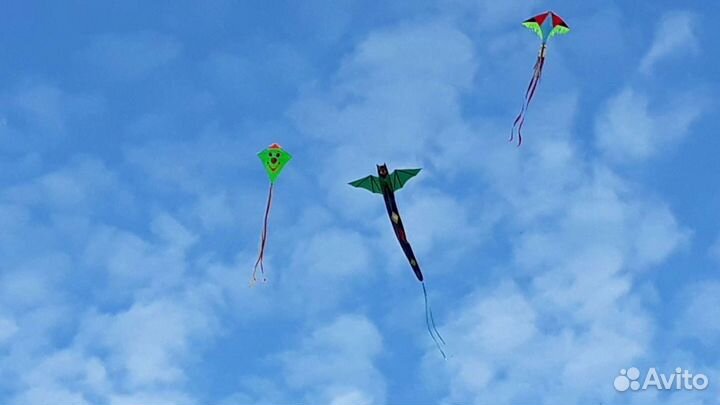 Воздушные змеи подарки