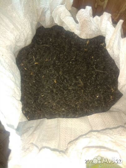 Семечки подсолнечника 6 мешков