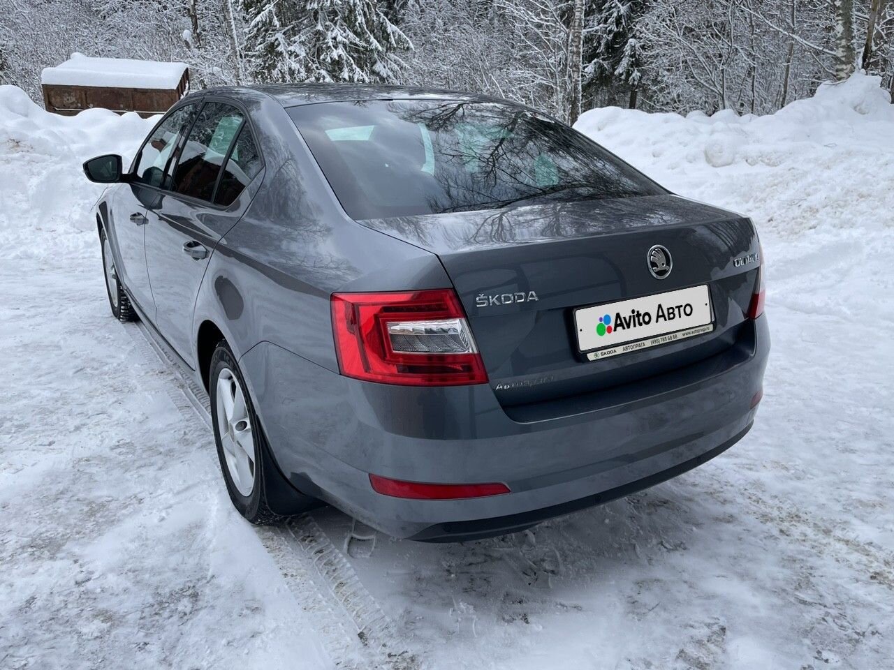 Skoda Octavia: фото владельца