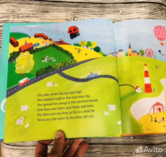 What the ladybird heard AT the seaside J.Donaldson