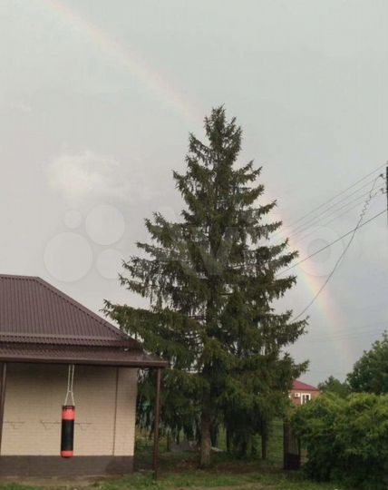 Дом 50 м² на участке 8 сот.