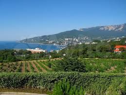 Участок 7,2 сот. (ИЖС)