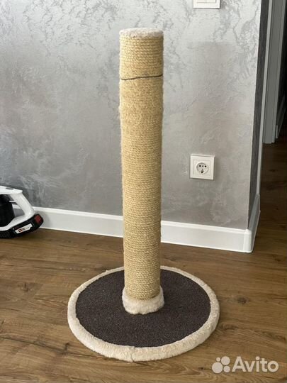 Когтеточка