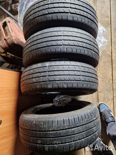 Dunlop All Season Maxx AS1 205/60 R16