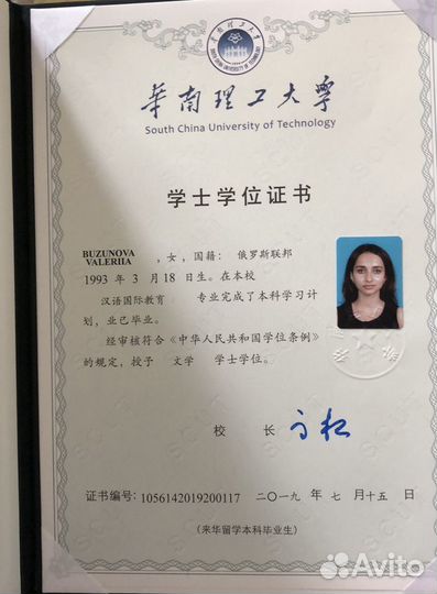 Китайский язык