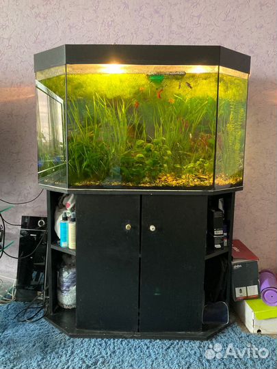Аквариум