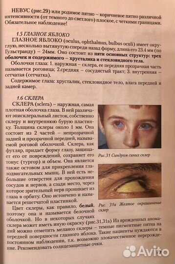 Оптометрия для начинающих оптометристов