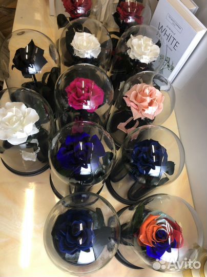 Розы в колбе оптом