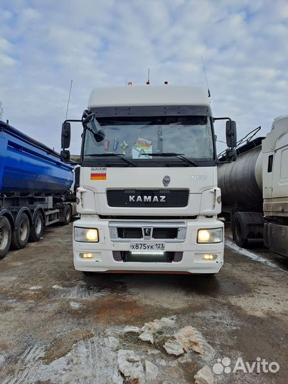 КамАЗ 5490 NEO, 2018