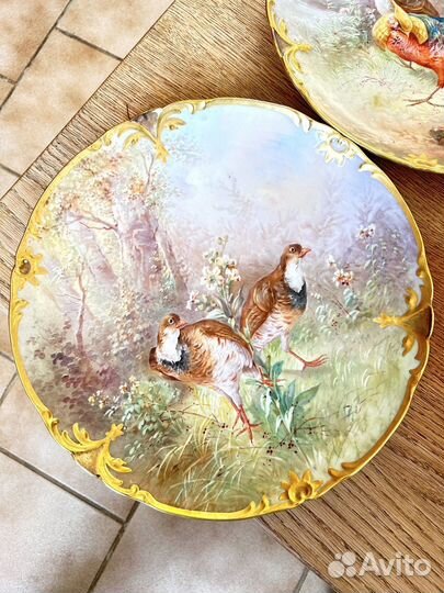 Тарелки птицы Лимож