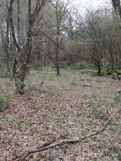 Участок 4,3 сот. (ИЖС)