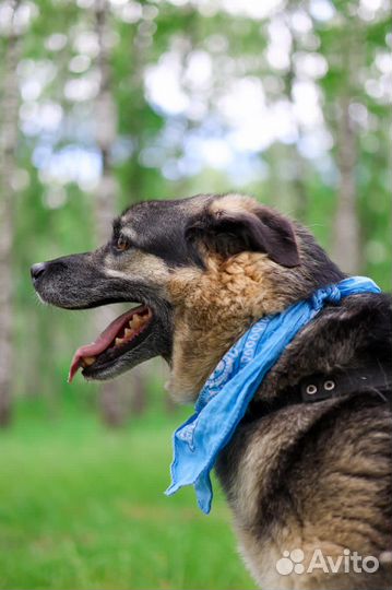 Марат энергия и преданность