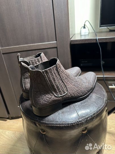 Челси zilli слон оригинал