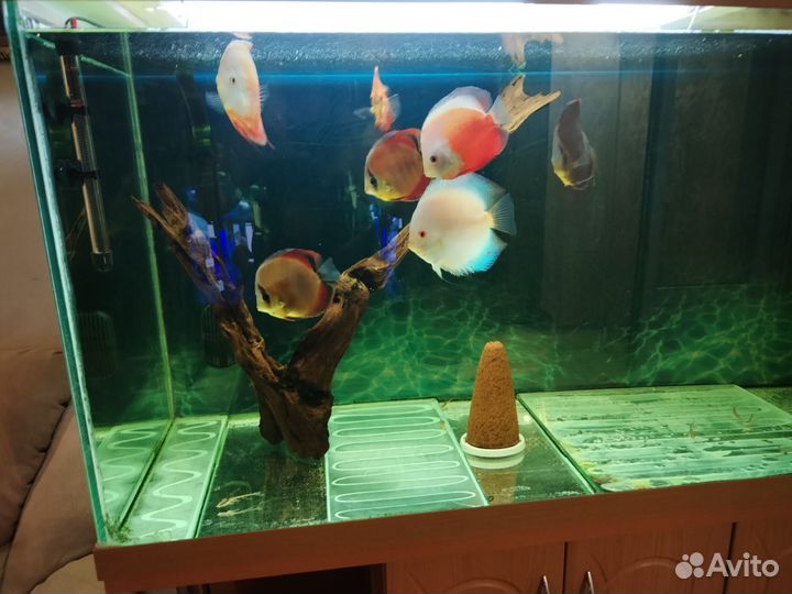 Аквариум с тумбой