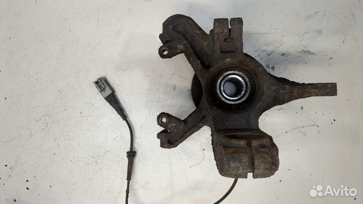 Ступица (кулак, цапфа) Ford Focus 1, 2004