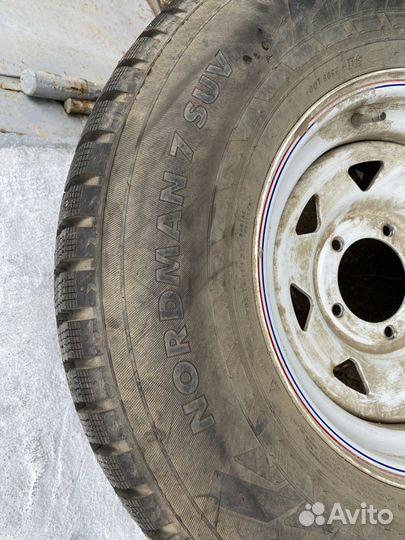 Nokian nordman 7