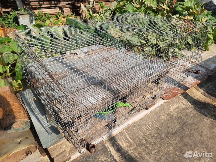 Ферма для кроликов