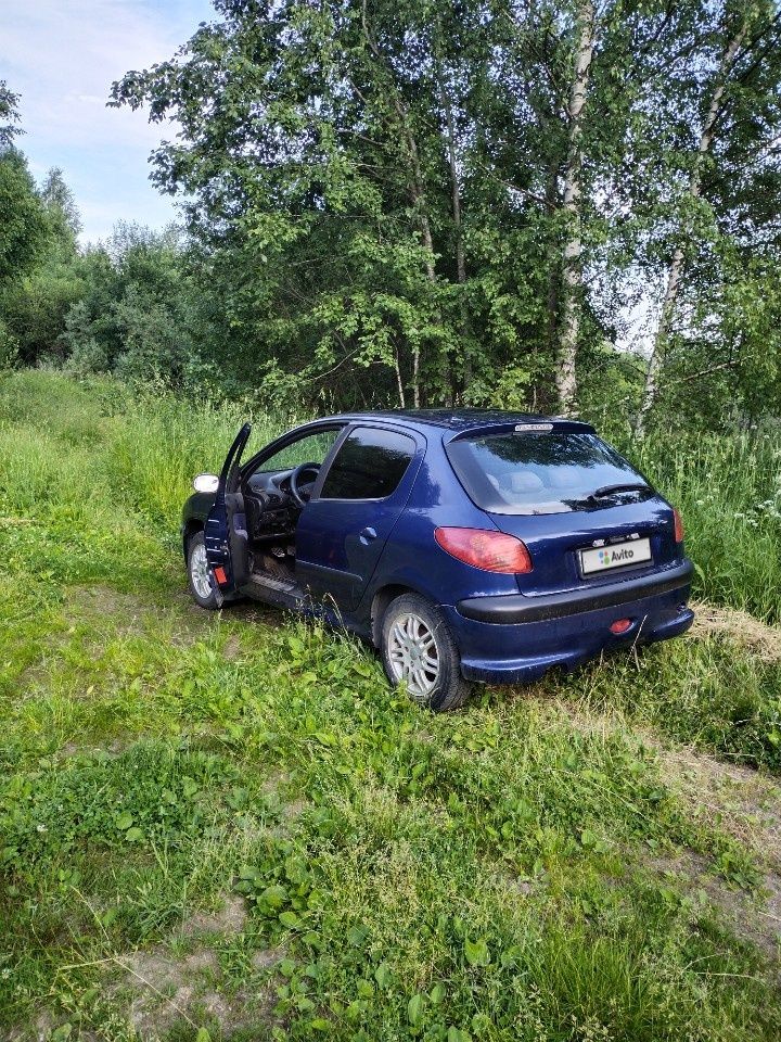 Peugeot 206: фото владельца