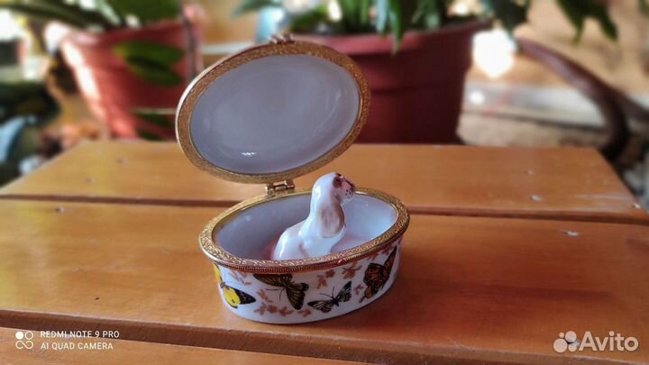 Фарфор бабочки