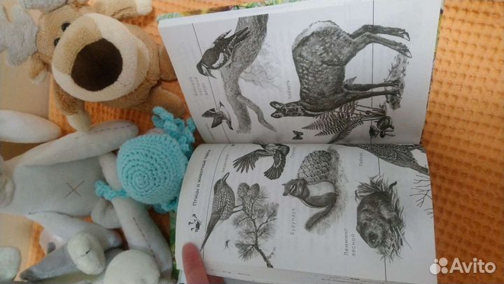 Детские книги о животных
