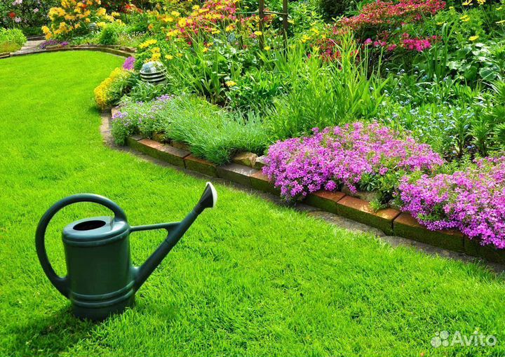 Газонная трава универсальная