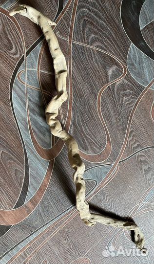 Коряга Корень