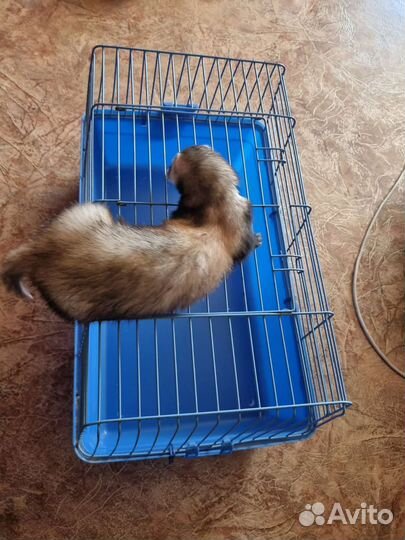 Клетка для грызунов бу