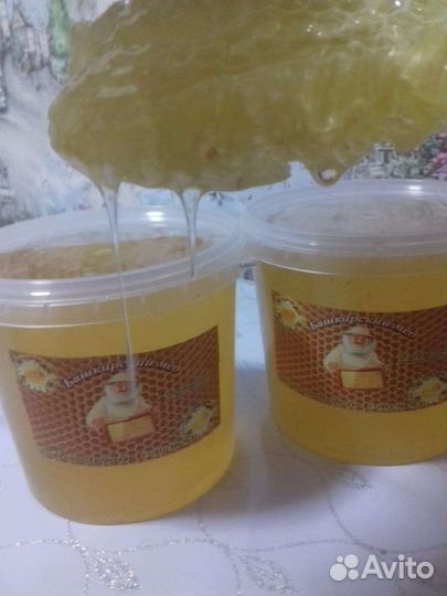 Мед из Башкирии. Перга и другие продукты пче-ва