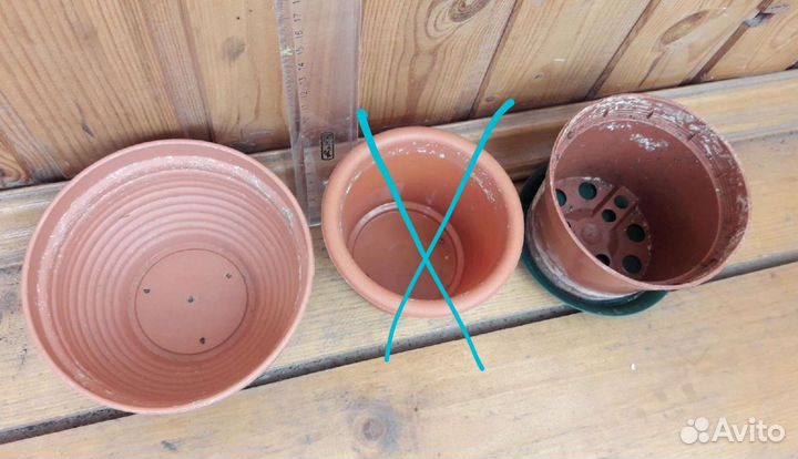 Гошки, кашпо