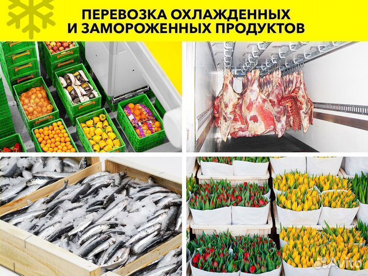 Перевозка в рефрижераторе - продукты, цветы