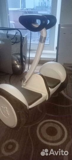 Segway ninebot mini аренда