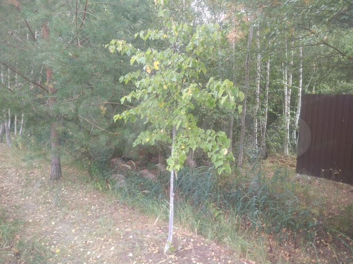 Участок 8 сот. (СНТ, ДНП)