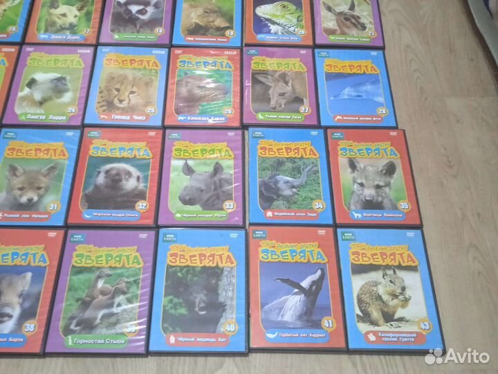 Видео - Диски про животных