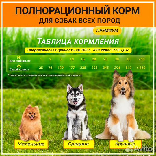 Корм для собак Orange Line с говядиной, 900 г