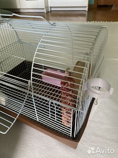 Новая клетка для хомяков(С колесом и кормушкой)