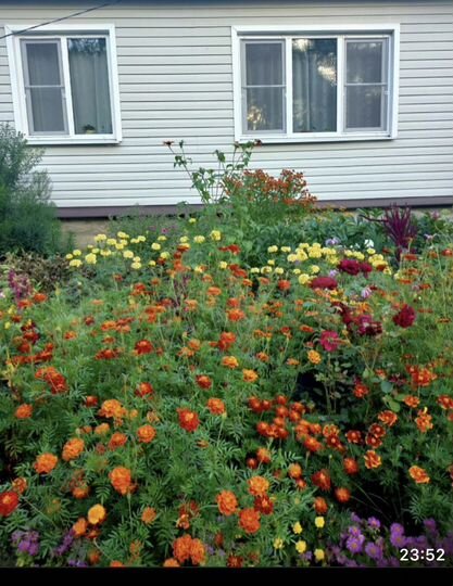 Дом 65 м² на участке 15 сот.